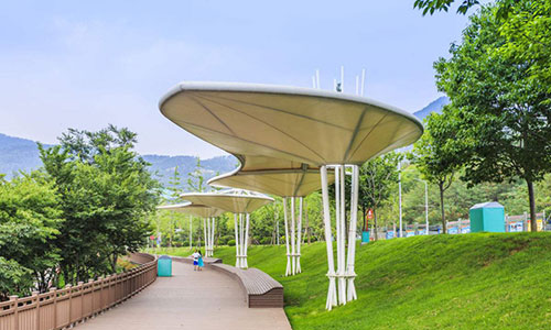 創(chuàng)新科技美麗騰飛哈爾濱張拉膜助力城市建設